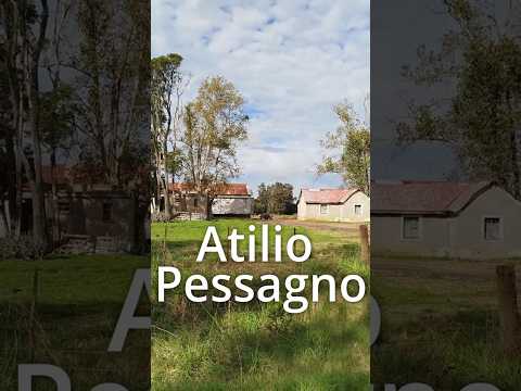 Atilio Pessagno 🏍️, partido de Lezama, provincia de Buenos Aires
