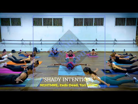 GO SHAPO RELEASE 22.2 #12 - 'SHADY INTENTIONS' - NGHTMRE, Zeds Dead, Tori Levett