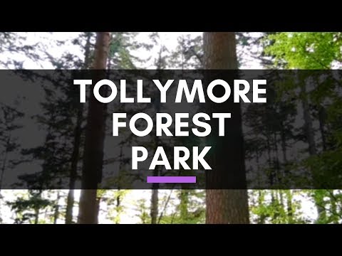 Tollymore Forest Park - Newcastle Northern Ireland Video