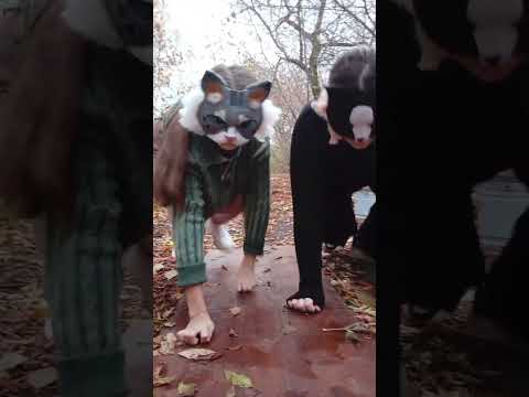 Сева! вот такие дела#квадробика