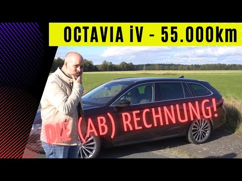 SKODA Octavia iV 55.000 km Fazit - die ABRECHNUNG!