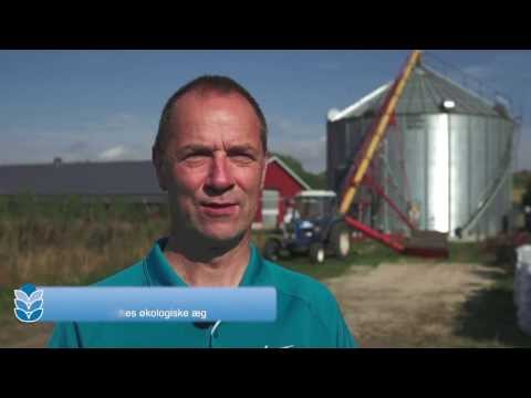DANCORN Silo / bin & dryer - Organic Farmer Niels & Grethe Riis - English speak - English Version