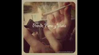 Tardes verdes The Planetario. 2014 colombia