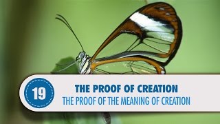 Video: DNA Molecules, Cells and Human Genetics prove God - Quran Miracle
