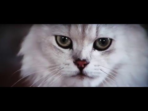 007 - Os Diamantes São Eternos video