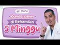Perkembangan Janin Saat Hamil 1 5 Minggu