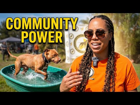 American Pitbull Community Going Strong