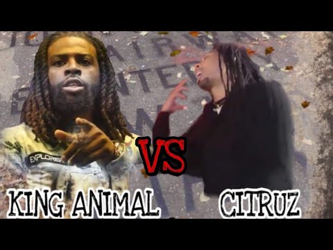 Citruz vs King Animal