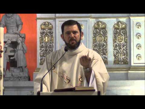 Homilia Ks. Carlosa 25.05.2014 - VI NIEDZIELA WIELKANOCNA A