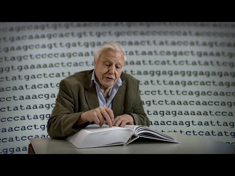 The Book of Life: DNA | Attenborough 60 Years in the wild | BBC Earth