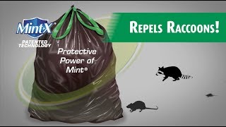 How to Keep Raccoons and Rodents Out of Your Trash Using Tomcat® Dual Action Trash Bags