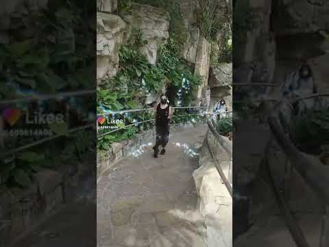 🎶123🎶💃@44  #halloweenspecial'22