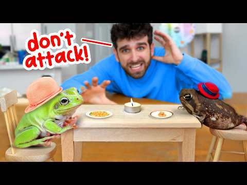 I Made My Frogs MEET For The First Time... (IT WAS BAD)