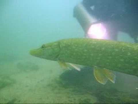 Straussee, Straussee,Strausberg,Brandenburg,Deutschland