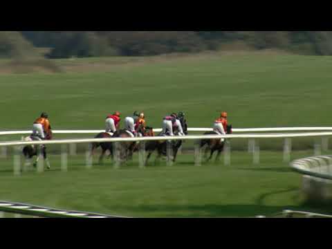 Frauenfeld/13.09.2020/Poneys D - Preis der Firma Intool AG