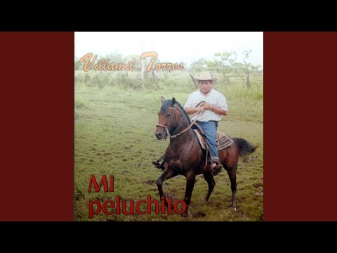 En la Manga me Esperan