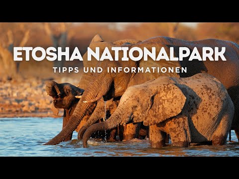 Etosha Nationalpark: Die Geheimnisse des schillerndsten Safariparks in Namibia