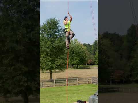 Hunter’s Climbing and Ascending Skills! 🧗#arborist #treework #short #shorts