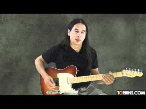 Guitar Scales & Modes Part 1- with Mike Walker - Beginner Guitar Lesson