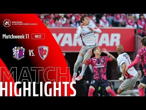 bg-highlight