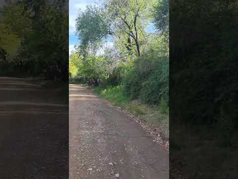Caminando por las calles de La Bolsa, en Córdoba
