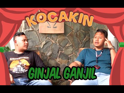 kocakin-ginjal-ganjil