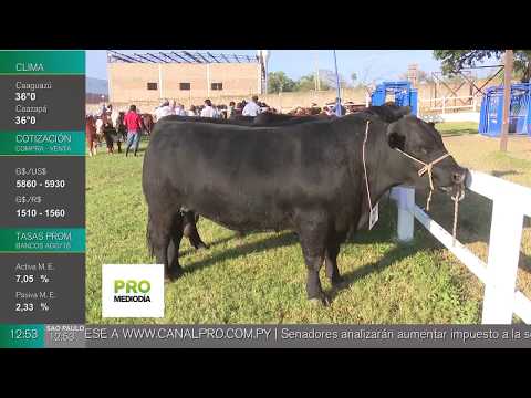 Certificación: Uno de los logros destacados en asamblea de Angus