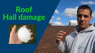 Roof Hail Damage How to tell if you have hail damage on you roof and property