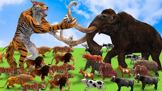 Download lagu 10 African Elephant Vs 10 Giant Tiger Save Cow Video Buffalo From Tiger Wolf Vs Mammoth Elephant mp3