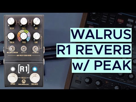 Walrus Audio R1 Reverb Sound Demo (no talking) with Novation Peak