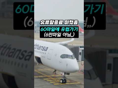 초특가 항공권 예약 성공! 루프트한자 60마일의 기적