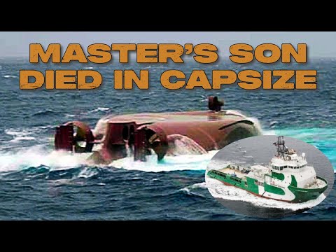 Unravelling the Mystery Behind the Bourbon Dolphin Accident