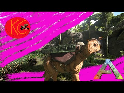 BIG STUFF! Taming a Paracer and Other Things -  Ark survival evolved