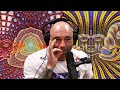 20 Unexplainable DMT Experiences That Shocked Joe Rogan