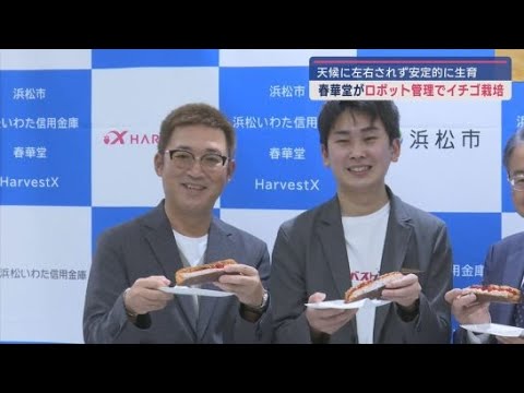 YouTube Video うなぎパイの春華堂が2025年4月からロボット管理によるイチゴの栽培を開始　年間700キロの収穫見込む