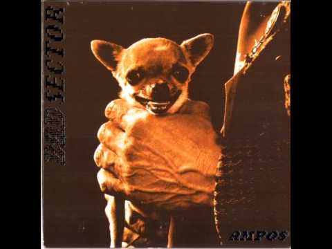 Bad Sector - Ampos