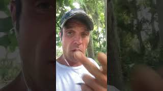 Antifungals NOT Needed to Beat Mold Illness