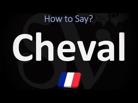 YouTube video about: How to say horse in french?