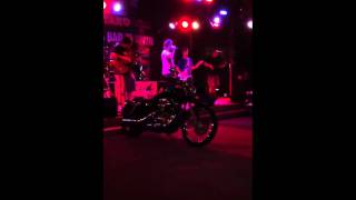 DaFever- Ancient Walls of Flowers