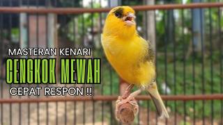 Download lagu Pancingan Kenari Gacor Ngerol EMOSI DURASI Panjang AMPUH Atasi Kenari Macet Langsung Bunyi & Gacorr mp3 Download lagu Pancingan Kenari Gacor Ngerol EMOSI DURASI Panjang AMPUH Atasi Kenari Macet Langsung Bunyi & Gacorr mp3