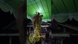 Download lagu Barongan atraksi#shorts mp3