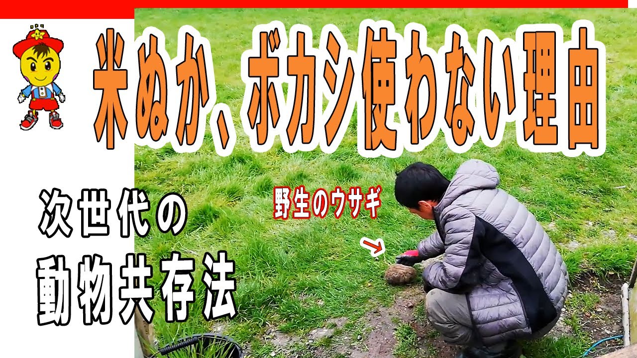 自然栽培における土作りと動物との共存法|米ぬかボカシの考え方や畝の亀裂対策