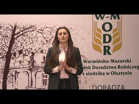 Innowacje, które działają – KSOW+ w praktyce. Projekty Grup EPI zmieniają polskie rolnictwo