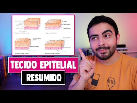 Tecido Epitelial Resumido │ HISTOLOGIA RESUMIDA