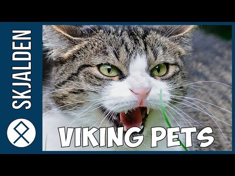 What Kind of Pets did the Vikings have?