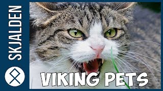 What Kind of Pets did the Vikings have?