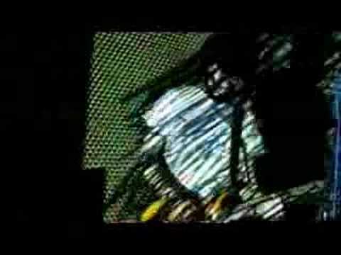 CarolineConceicao17’s Video 103832339723 d2Sym9Y4VtM