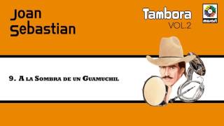 A la Sombra de un Guamuchil - Joan Sebastian (Audio Oficial)