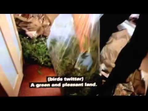 Stupid Police - The Return!