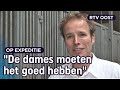 Arjan melkt paarden (en maakt daar dan heilzame producten van) | RTV Oost